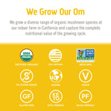 Utilisation café avec Lion's Mane OM MUSHROOM SUPERFOOD