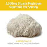 Ajout facile de la poudre Lion's Mane dans smoothie OM MUSHROOM