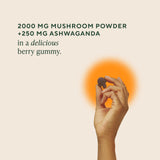 Gommes OM MUSHROOM SUPERFOOD, emballage ouvert, richesse en champignons bio.