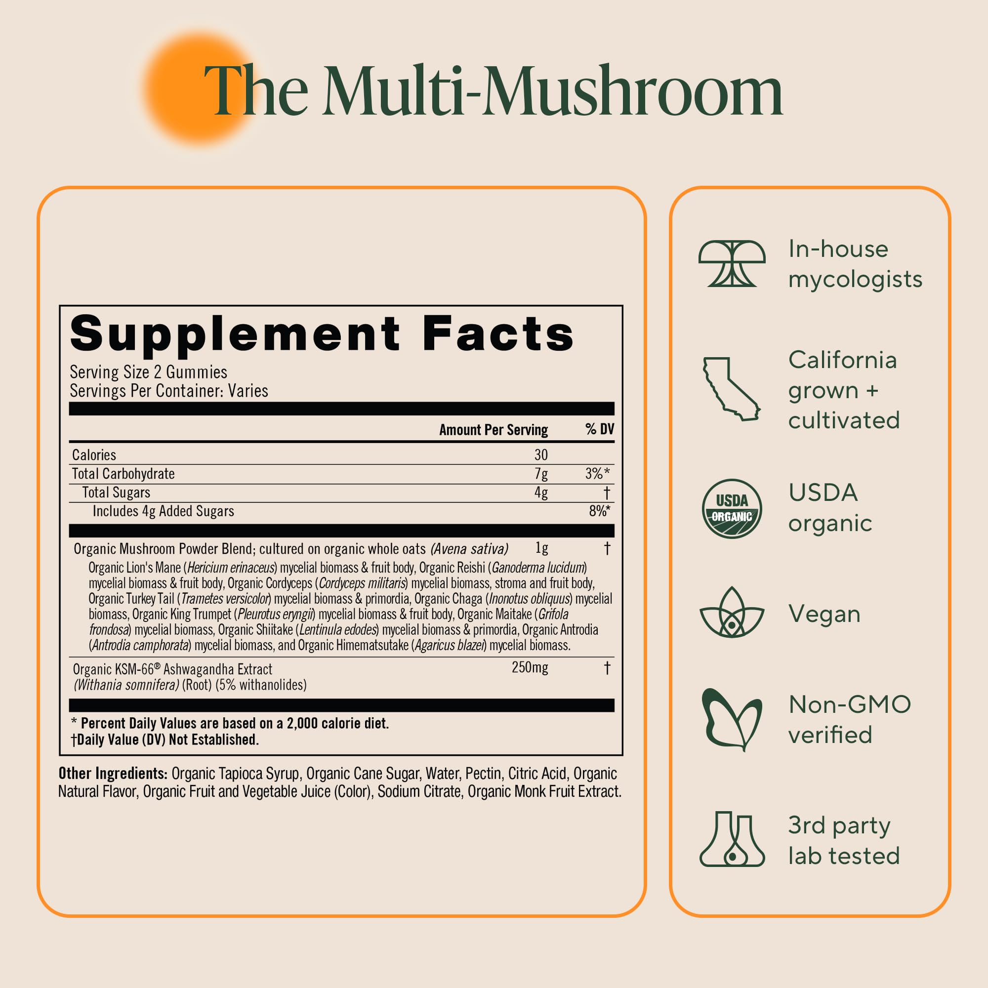 Gommes OM MUSHROOM SUPERFOOD, étiquette arrière et informations produit.