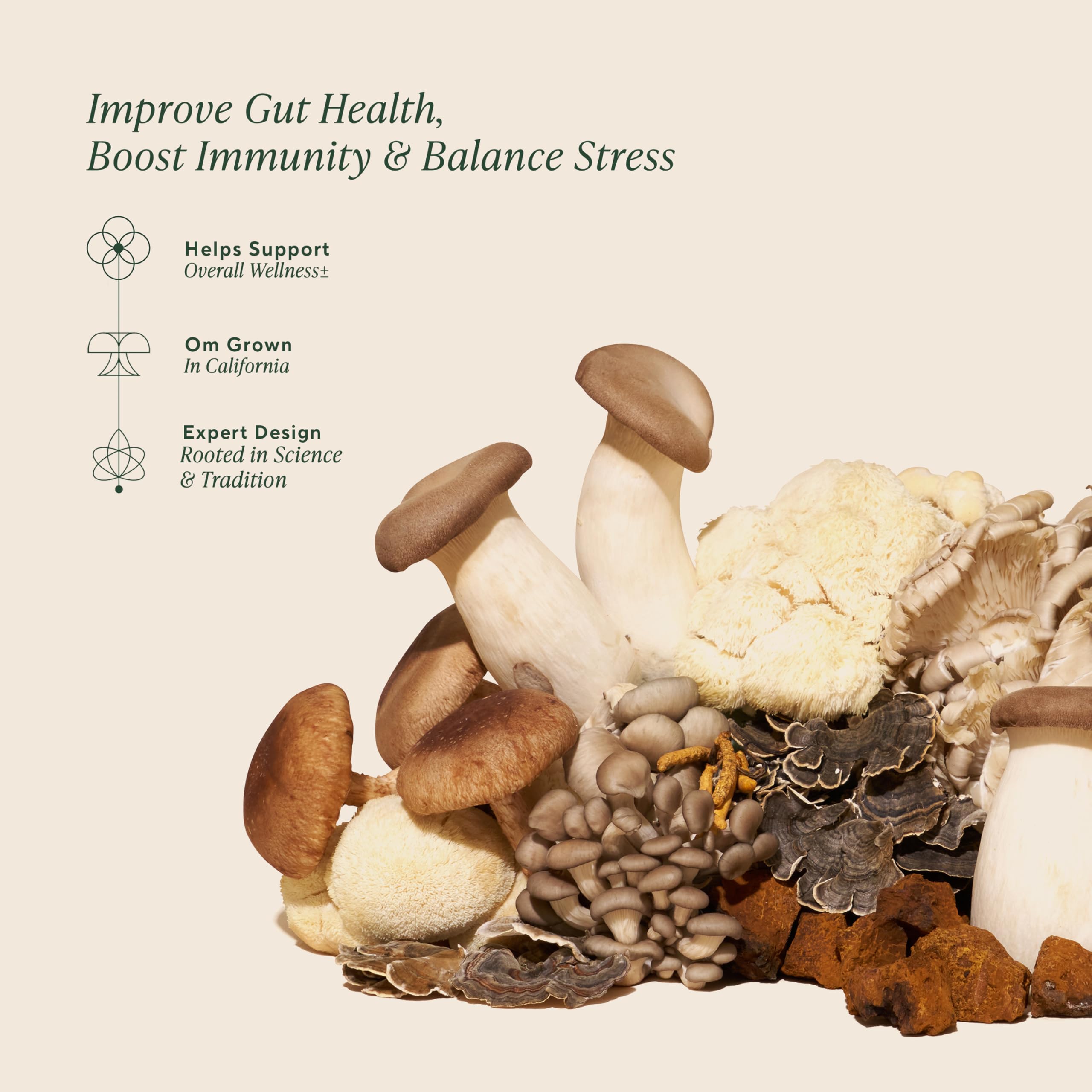 Gommes OM MUSHROOM SUPERFOOD, vue d’ensemble sur l’apparence des gommes.
