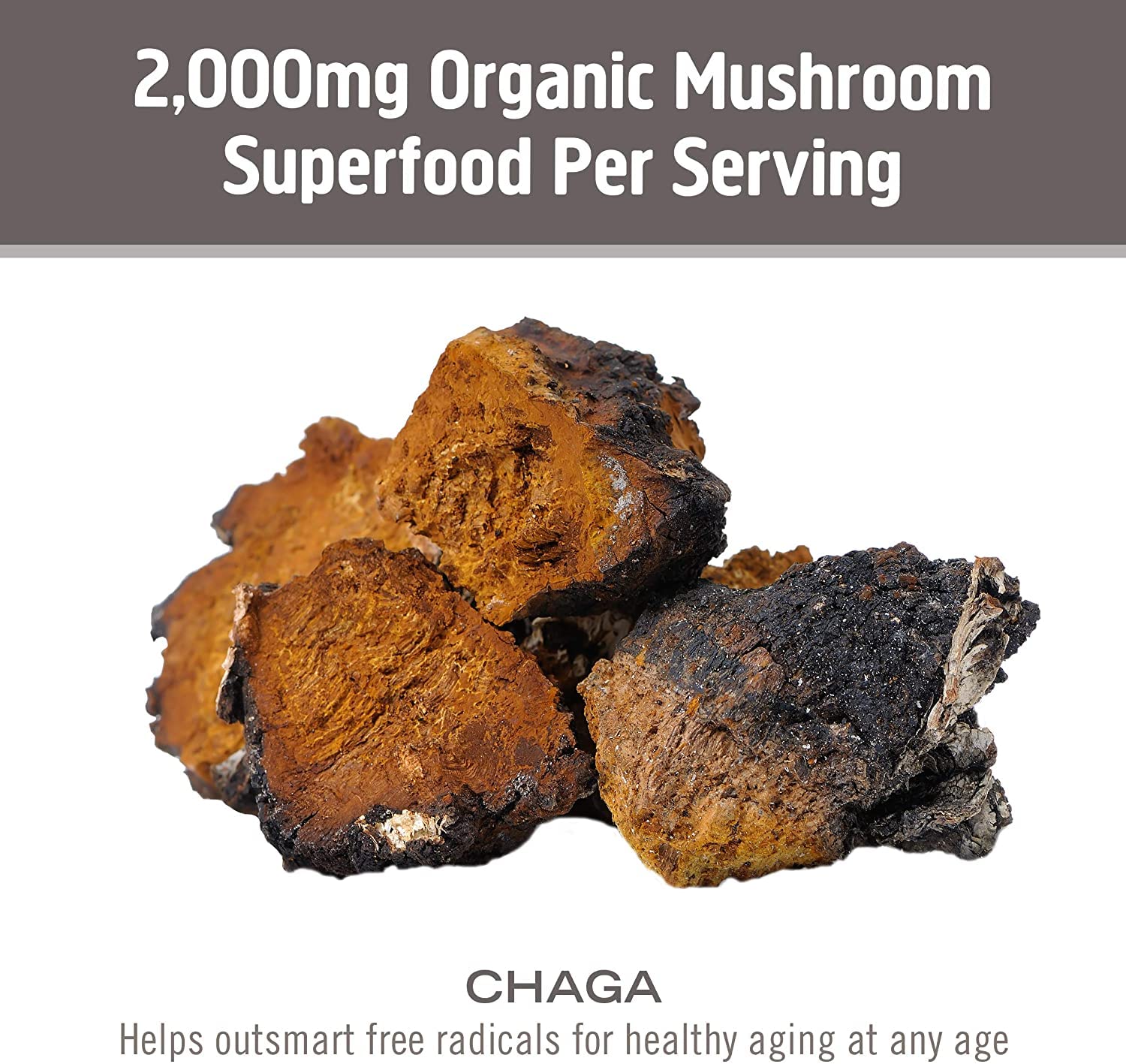 Om Mushroom Superfood options véganes et sans gluten pour un mode de vie sain.