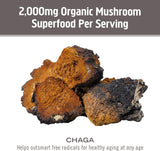 Om Mushroom Superfood options véganes et sans gluten pour un mode de vie sain.