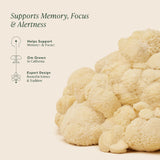 OM MUSHROOM SUPERFOOD poudre crinière de lion texture fine et facile à utiliser.