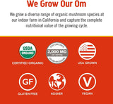OM MUSHROOM SUPERFOOD Mélange Énergie du Matin: sans gluten, végan et biologique.