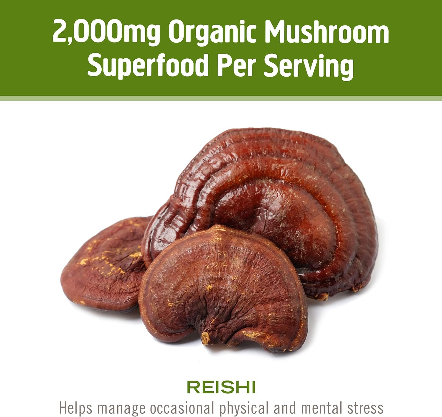 OM MUSHROOM SUPERFOOD Reishi – emballage bio et étiquette claire.