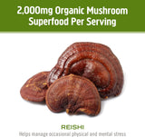 OM MUSHROOM SUPERFOOD Reishi – emballage bio et étiquette claire.