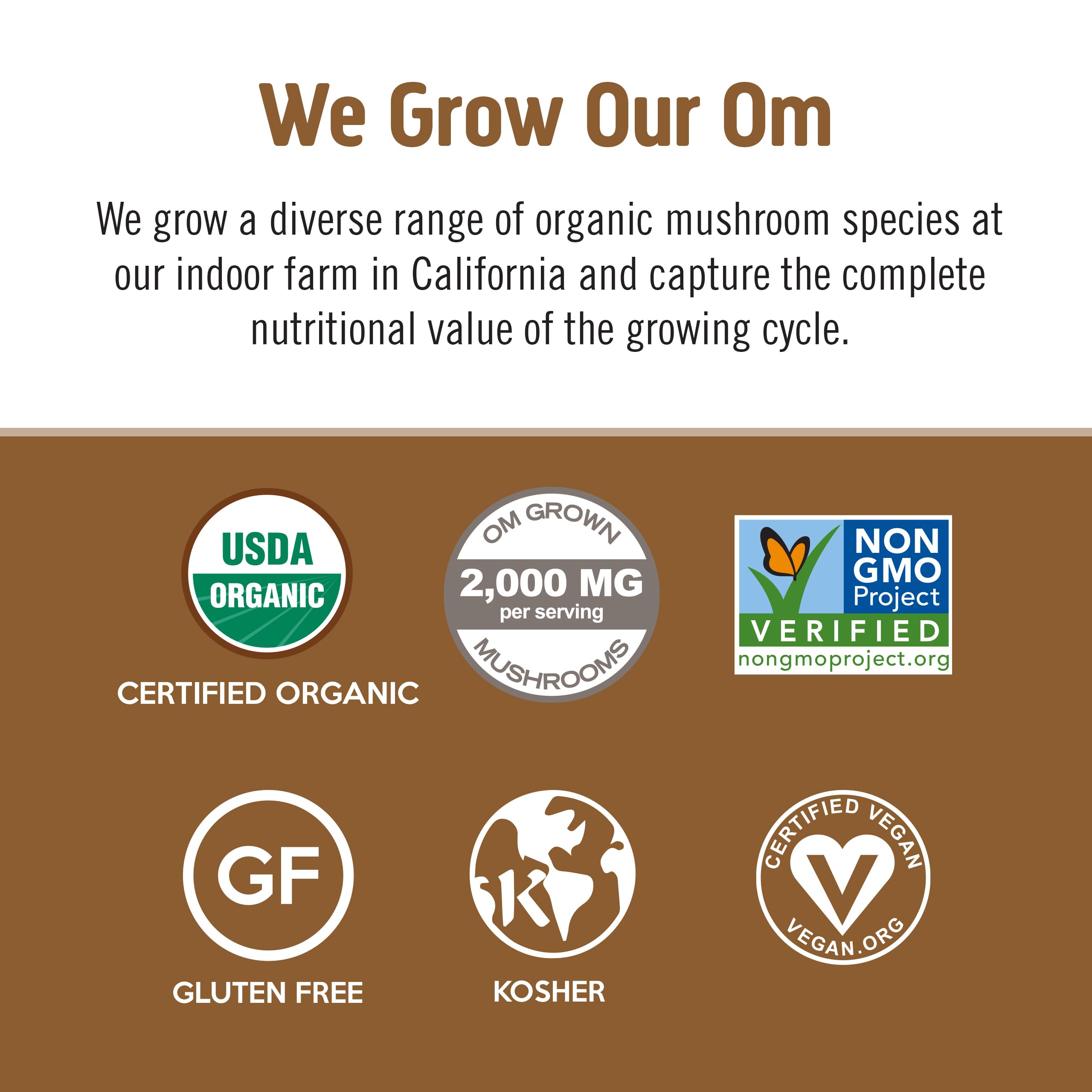 Poudre Reishi OM MUSHROOM SUPERFOOD, arôme riche et bien-être.