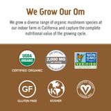 Poudre Reishi OM MUSHROOM SUPERFOOD, arôme riche et bien-être.