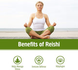 OM MUSHROOM SUPERFOOD Reishi – smoothie crémeux avec une touche de bien-être.