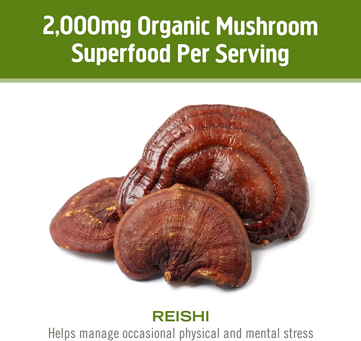 OM MUSHROOM SUPERFOOD Reishi test de qualité tiers – assurance et conformité
