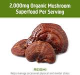 OM MUSHROOM SUPERFOOD Reishi test de qualité tiers – assurance et conformité