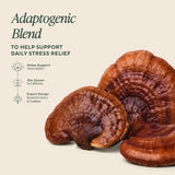 Ingrédients clés Reishi et Ashwagandha visibles, équilibre potentiel pour la journée.