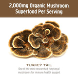 OM MUSHROOM SUPERFOOD Mycelium primordies Tramete versicolore, composition complète
