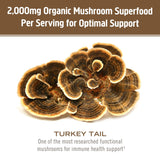 Poudre Om Mushroom Turkey Tail dans une boisson chaude, usage polyvalent