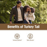 Pochette Turquey Tail Om Mushroom Bio, emballage et contenu biologique
