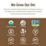 Smoothie avec poudre Om Mushroom Turkey Tail, ajout nutritif et pratique