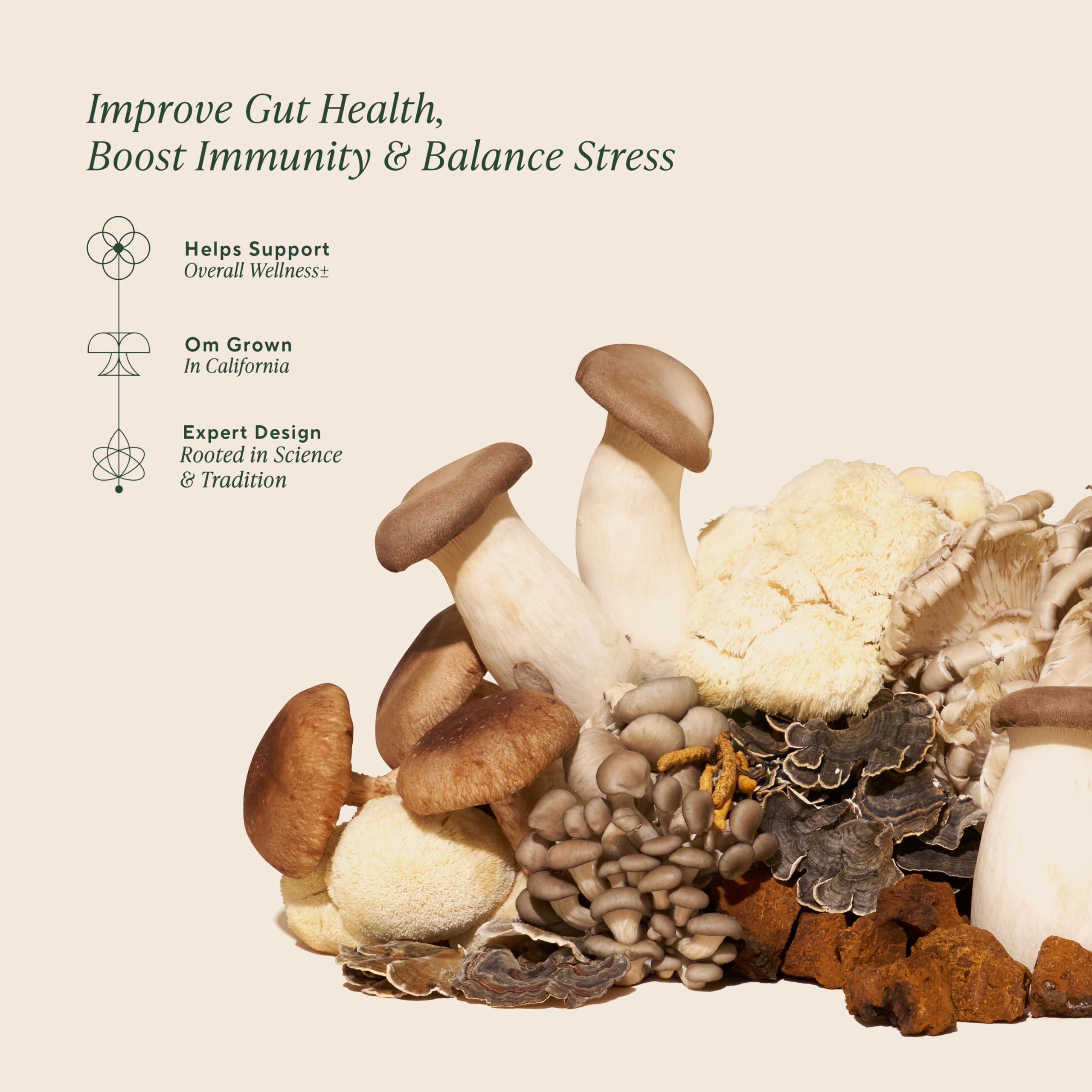 OM MUSHROOM SUPERFOOD Mélange Maître – cuillère-doseuse, dosage simple pour chaque apport.