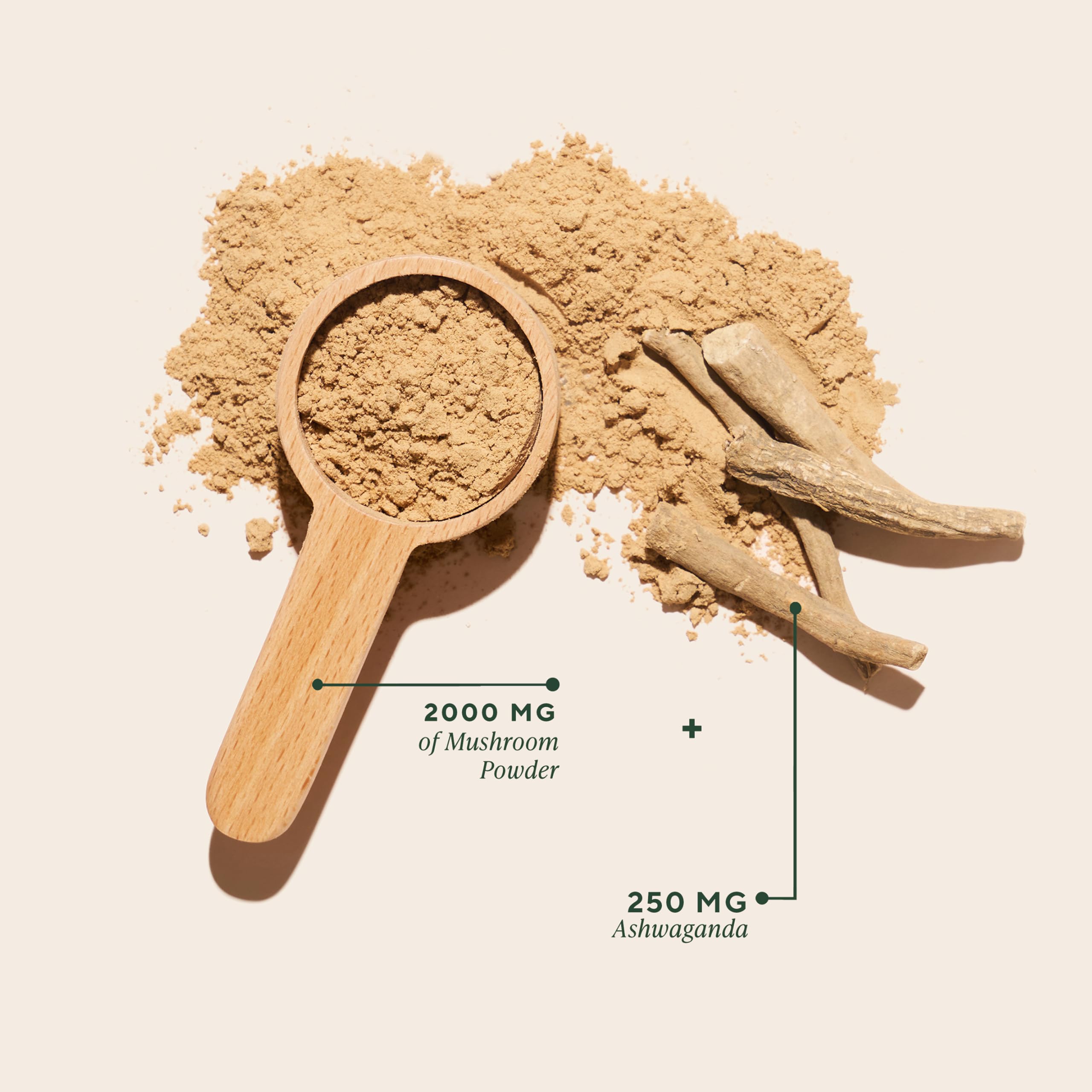 OM MUSHROOM SUPERFOOD Mélange Maître – se mélange facilement au café pour démarrer la journée.