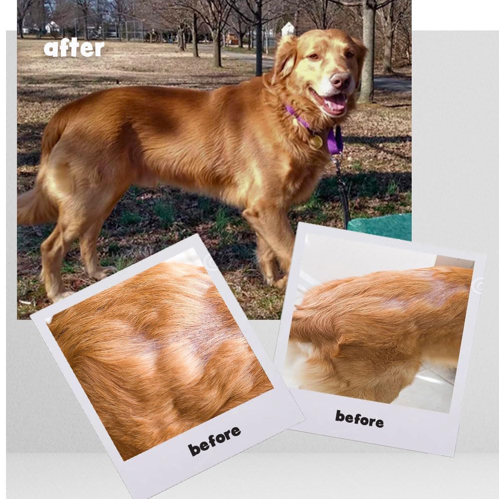 Omega Caps ES: soutien du cœur et énergie pour chien.