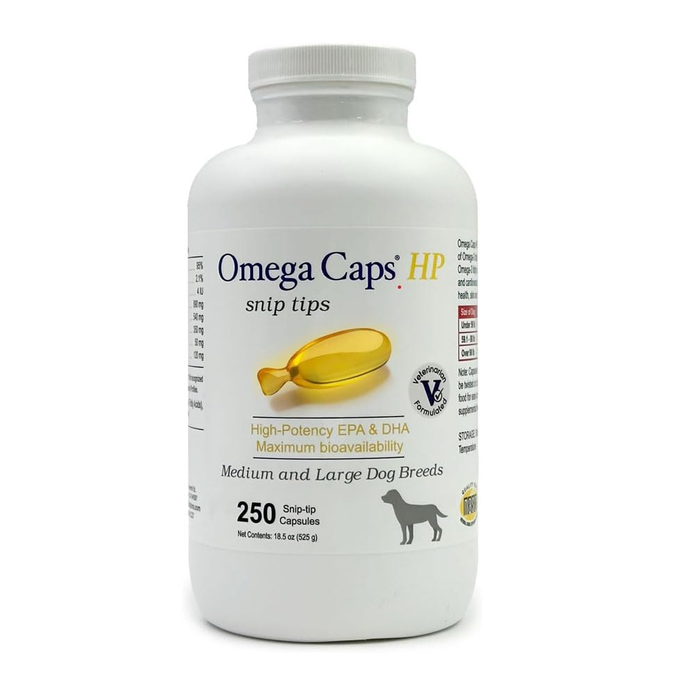 Omega Caps ES pour chien: pelage brillant et peau saine.