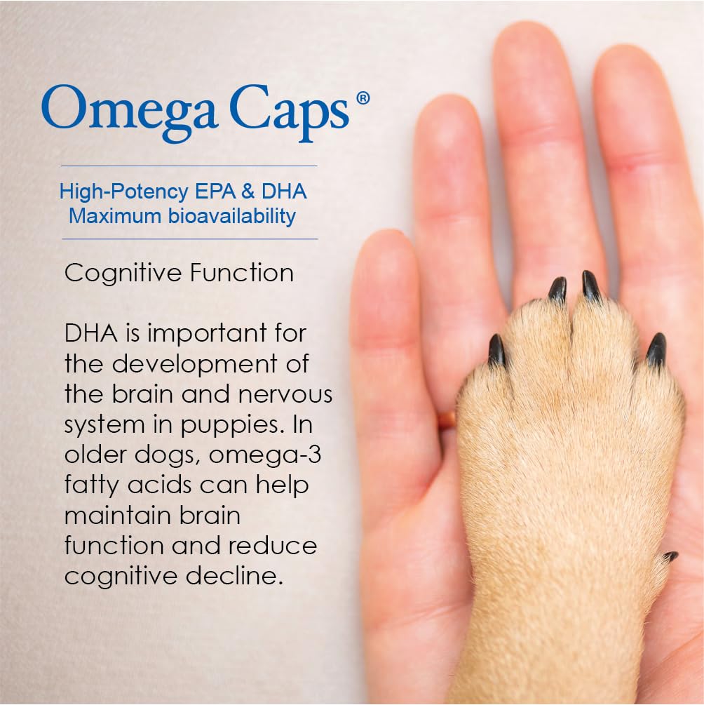 Omega Caps ES: versement facile sur la nourriture pour repas rapide.