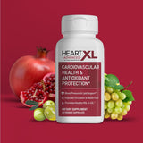 OmegaXL HeartXL Advanced soutient une circulation sanguine saine et fluide.
