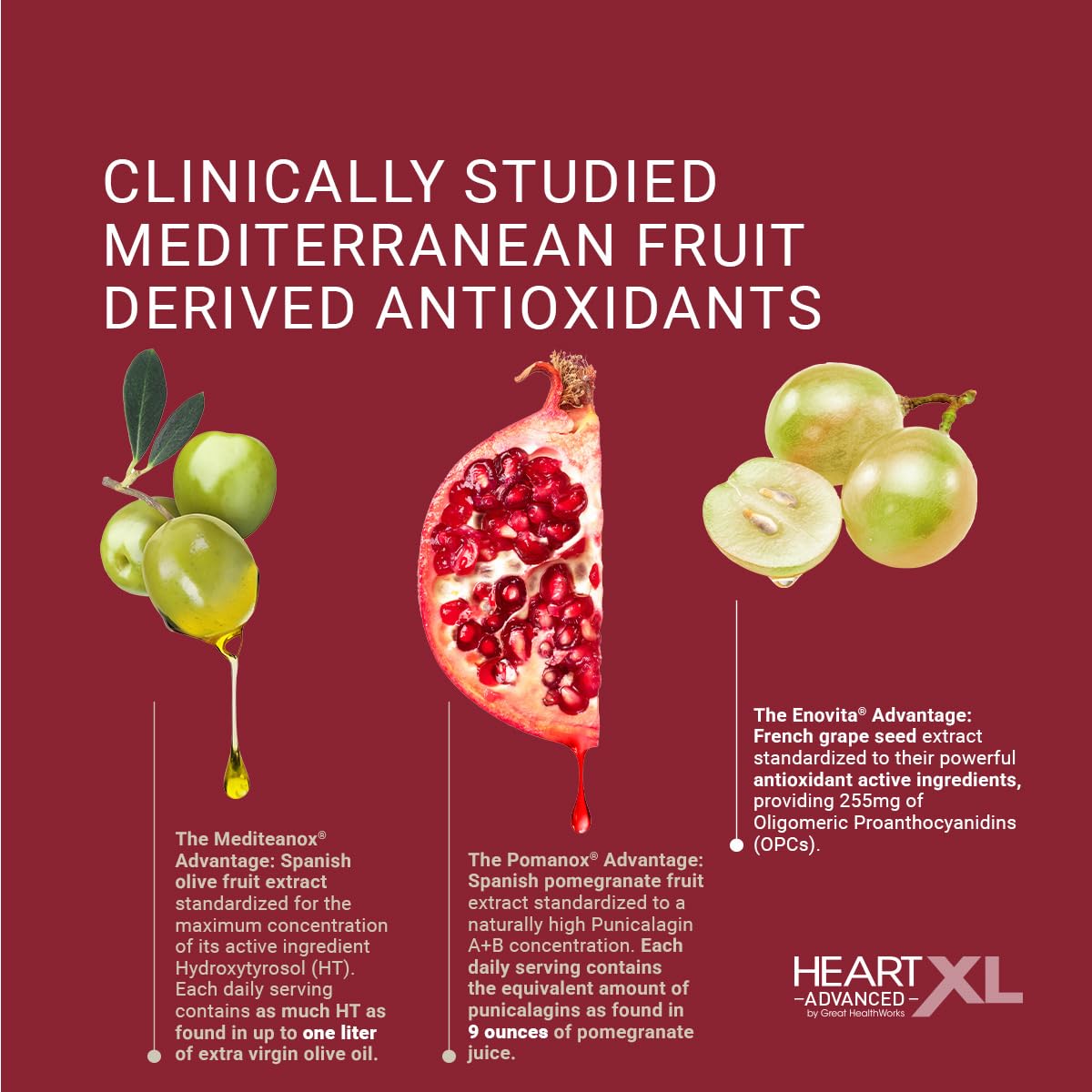 OmegaXL HeartXL Advanced, extraits méditerranéens, antioxydants potentiels pour la circulation.