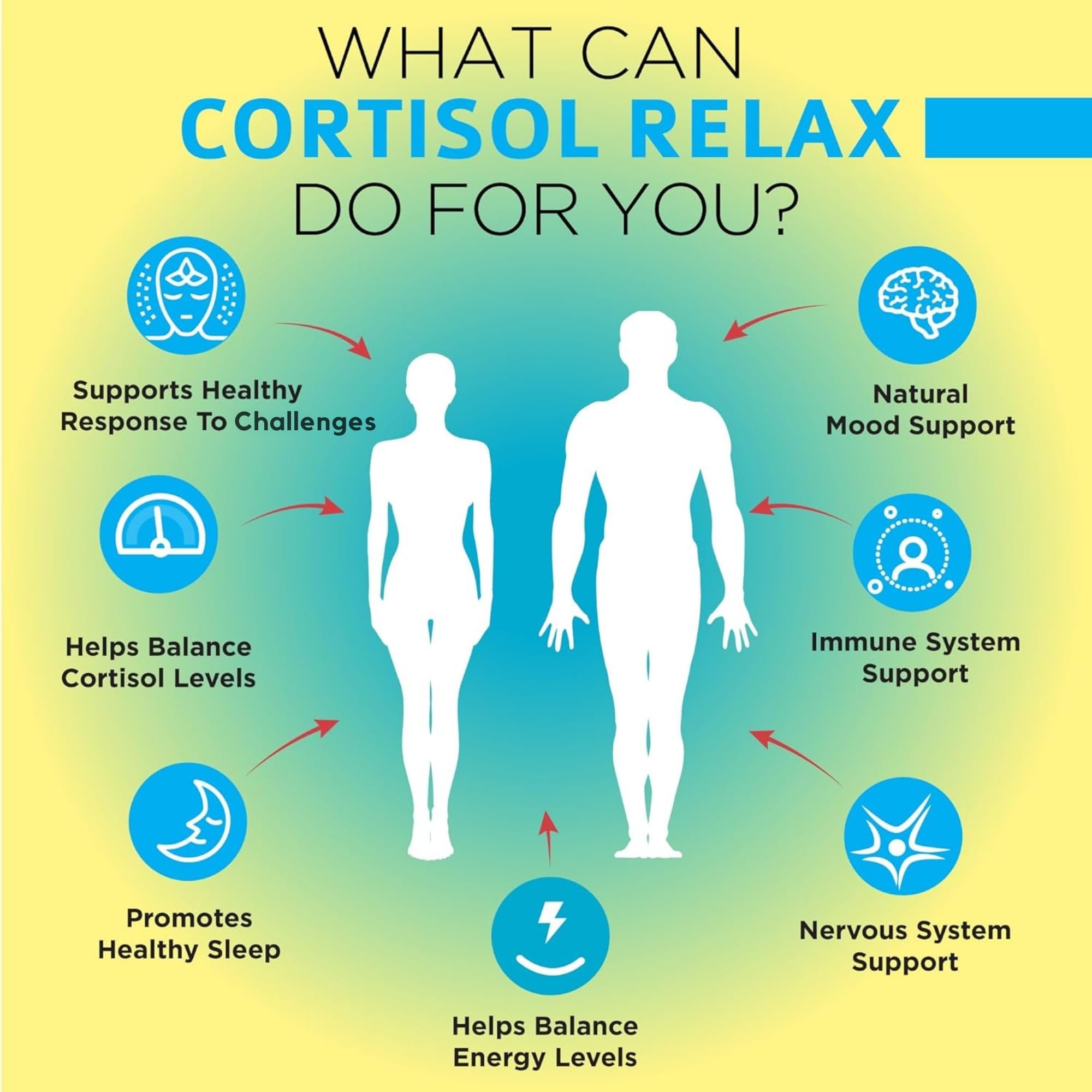 OmniBiotics Cortisol - Ashwagandha et L-théanine pour une détente naturelle