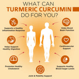 Étiquette OmniBiotics Curcuma montrant ingrédients naturels et absence d’additifs.