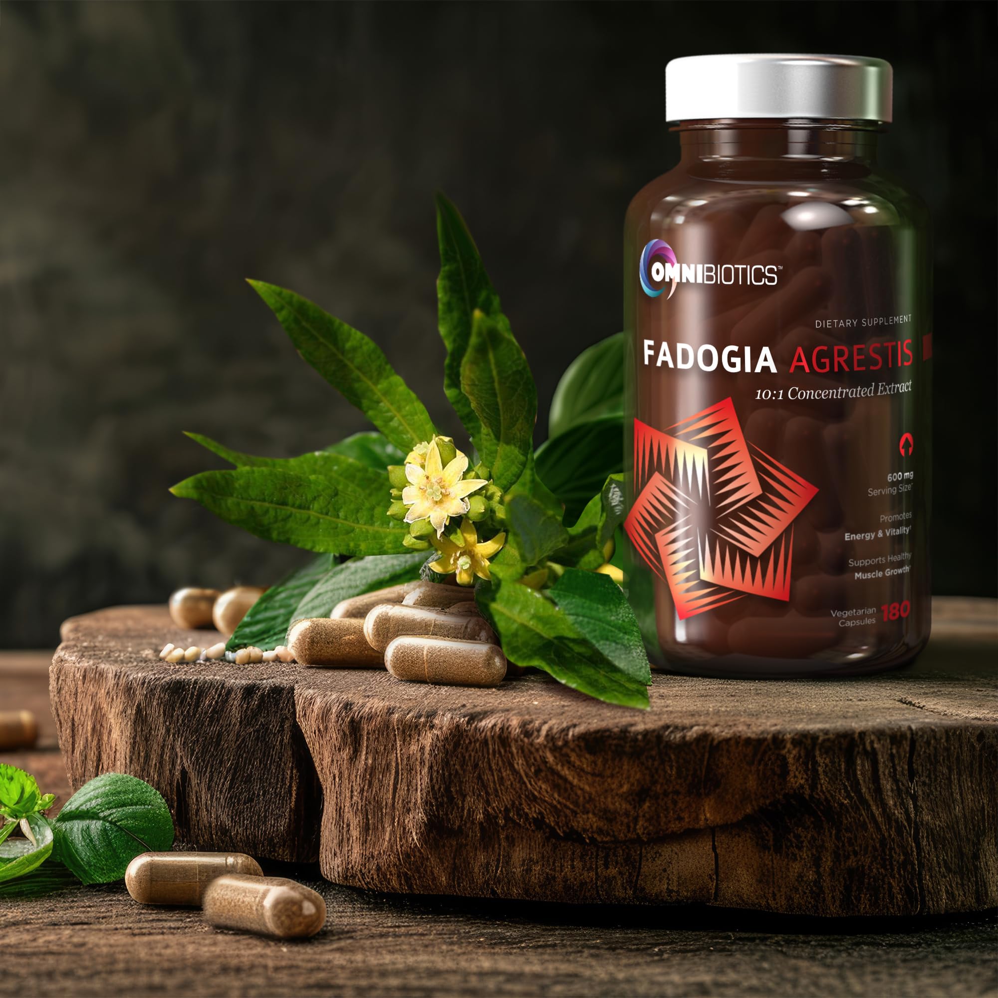 OmniBiotics Fadogia Agrestis - scène d'entraînement, idée de performance et récupération potentielle.