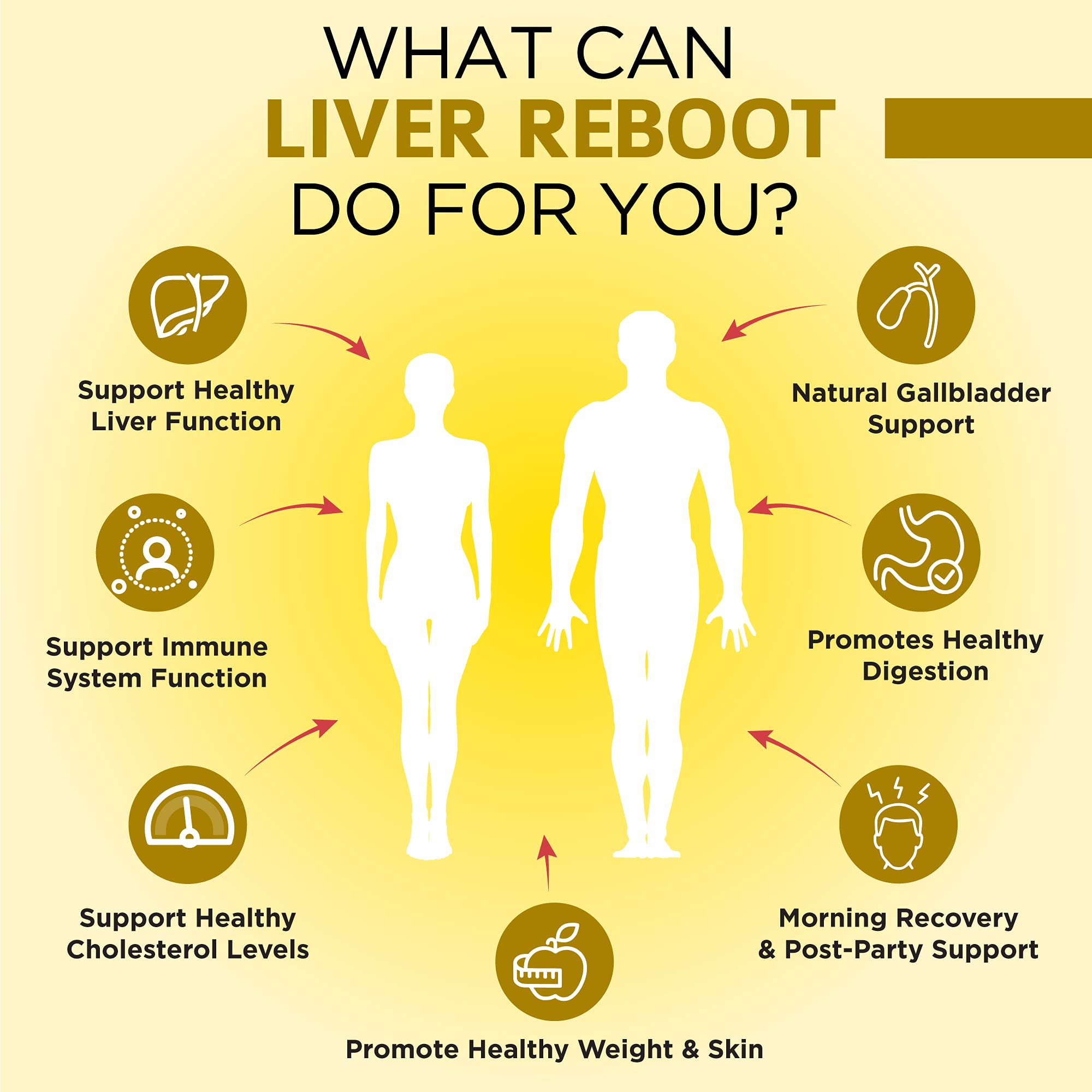Ingrédients du OmniBiotics Liver Cleanse présentés visuellement et naturels.