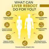 Ingrédients du OmniBiotics Liver Cleanse présentés visuellement et naturels.