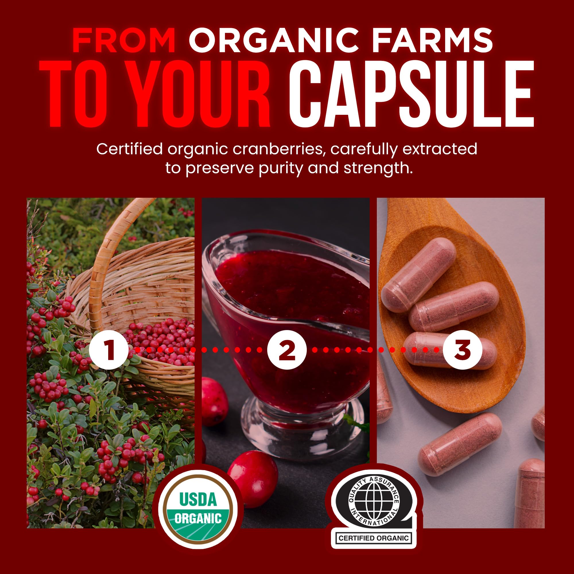 OmniBiotics sans sucres ajoutés ni jus: formule pure et simple.