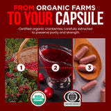 OmniBiotics sans sucres ajoutés ni jus: formule pure et simple.