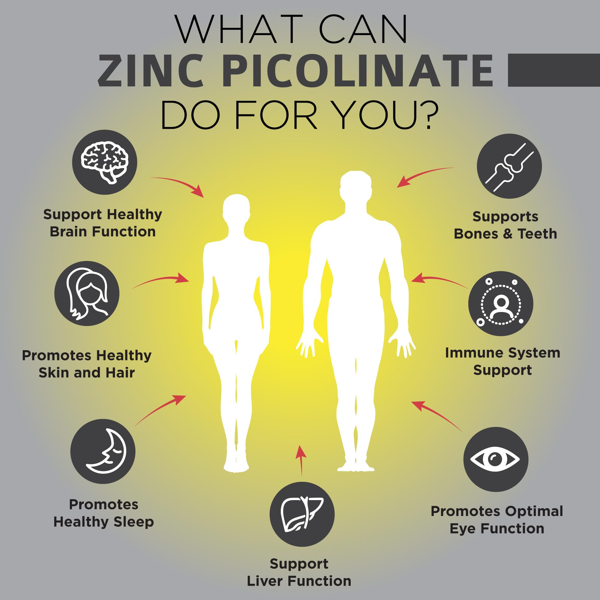 OmniBiotics Zinc Picolinate – biodisponibilité élevée favorisant l'énergie quotidienne.