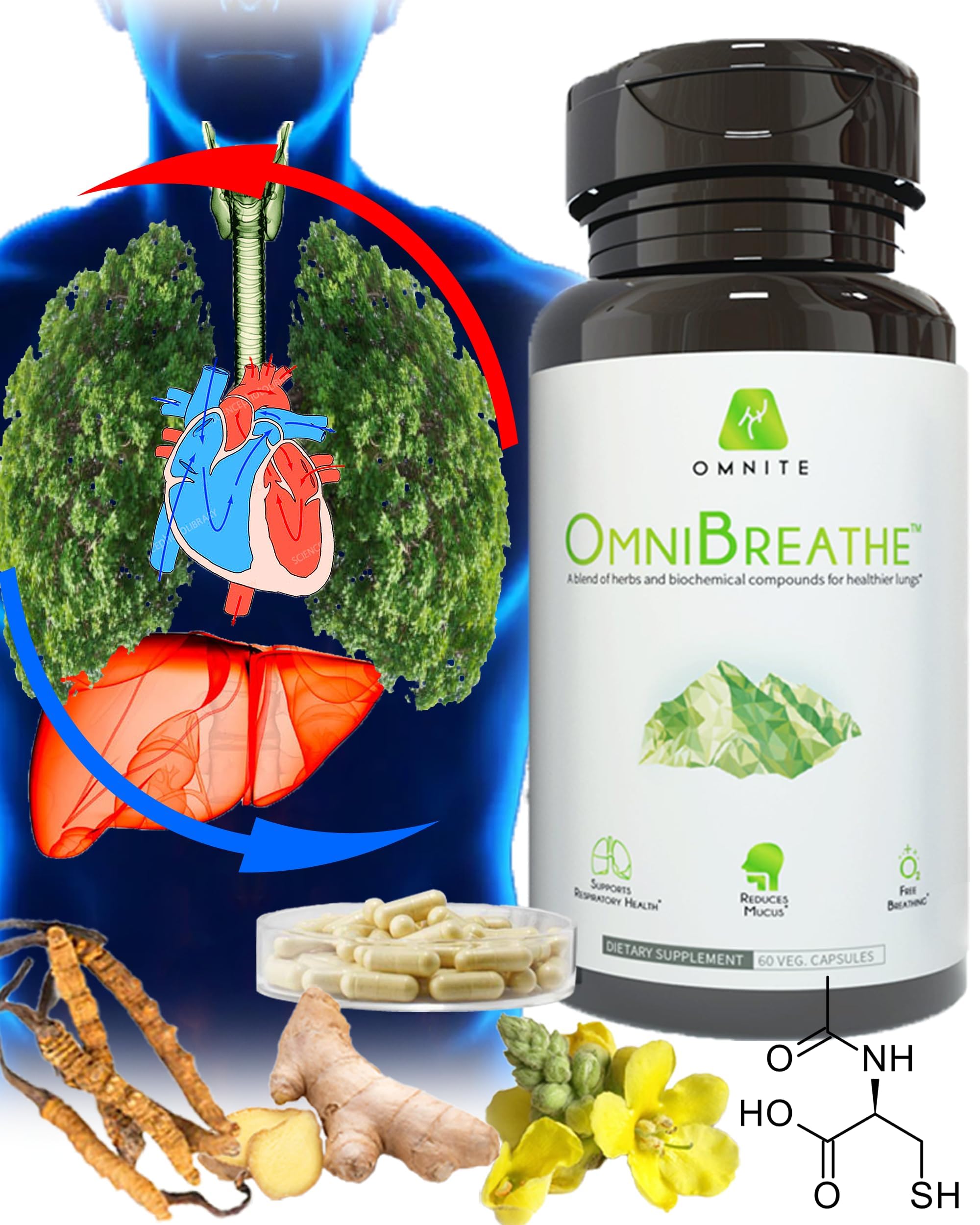 Omnite OMNIBREATHE capsules-vegetales — faciles à avaler et à intégrer au quotidien.