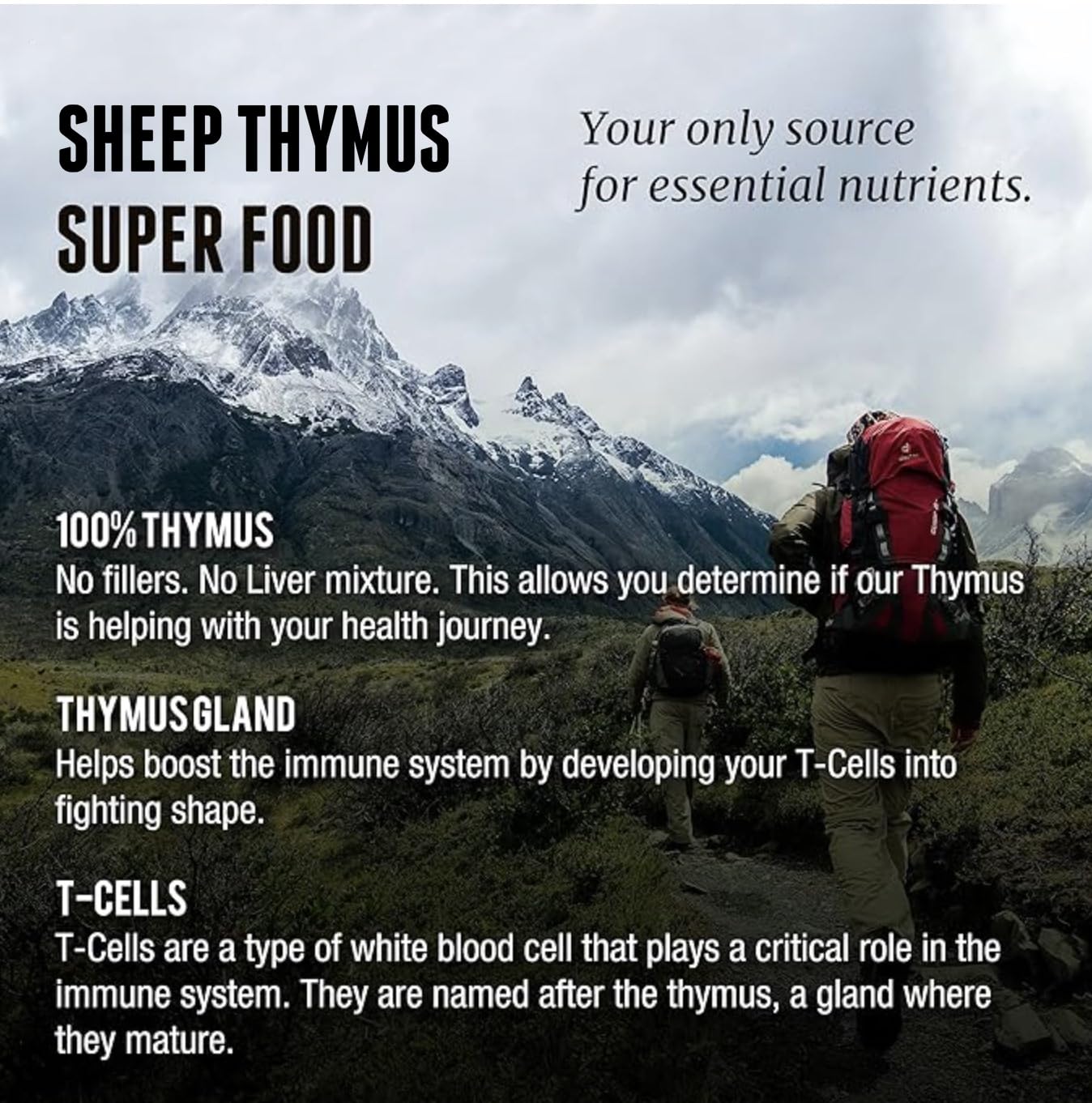 Source Nouvelle-Zélande du thymus One Earth Health pour une traçabilité claire.