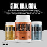 ONE OF ONE boisson post-entraînement – soutien potentiel à la récupération musculaire.