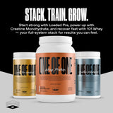 ONE OF ONE Creatine Monohydrate — compatible keto et vegan pour diverses habitudes alimentaires.