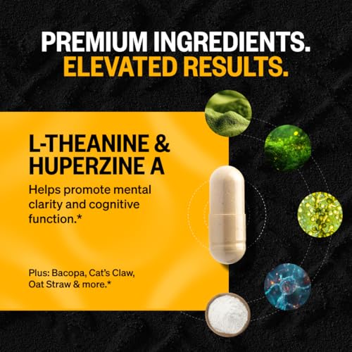 Alpha Brain ONNIT – capsules, clarté mentale et temps de réaction.