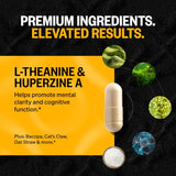 Alpha Brain ONNIT – capsules, clarté mentale et temps de réaction.