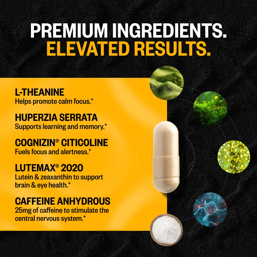 Concentration et clarté: utilisation quotidienne possible des capsules Alpha Brain.