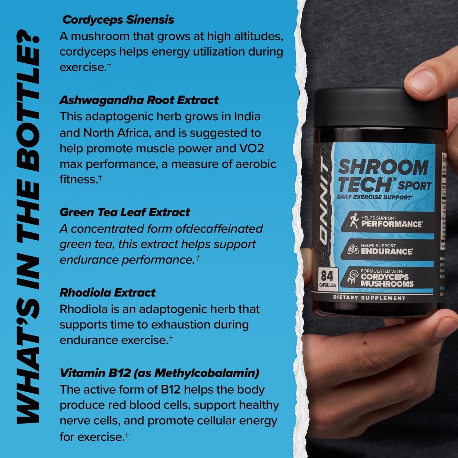 Bouteille Alpha Brain ONNIT – concentration et mémoire.