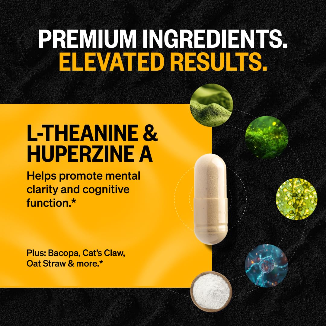 Ingrédients non-GMO et vérification IGEN dans le duo ONNIT.