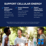 Dose du matin Opti + NAD Plus pour maintenir la vitalité