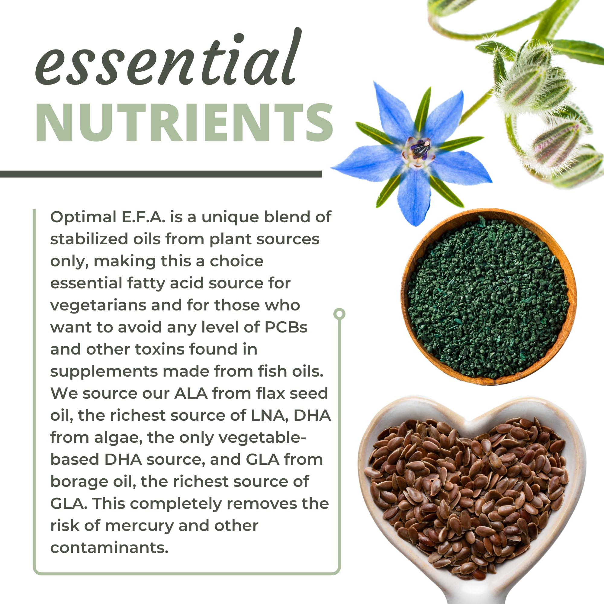 Optimal Health Systems EFA — dosage quotidien: 1 gélule deux fois par jour.