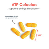 Optimox ATP Cofactors – présentation en flacon, prise quotidienne possible pour soutenir l'énergie.