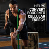 Contenant 180 comprimés Optimum Nutrition, format 60 jours