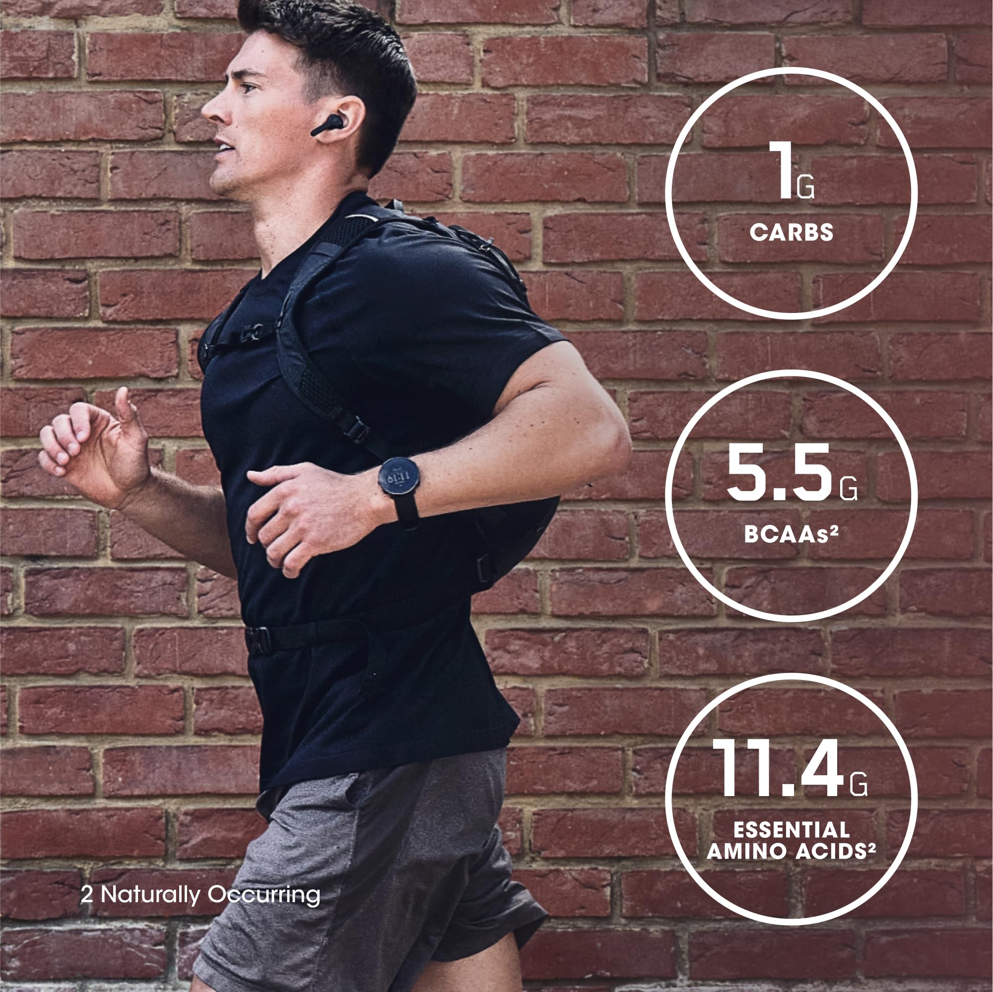 Préparation du shake avec lait ou eau, Optimum Nutrition Isolate.